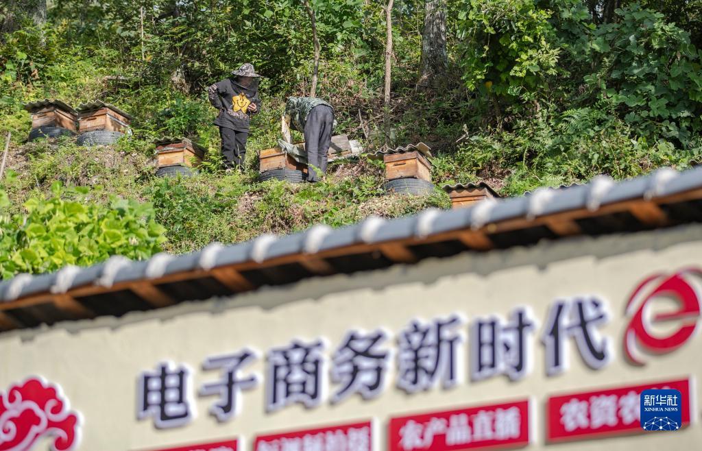 世外桃源贵宾会娱乐